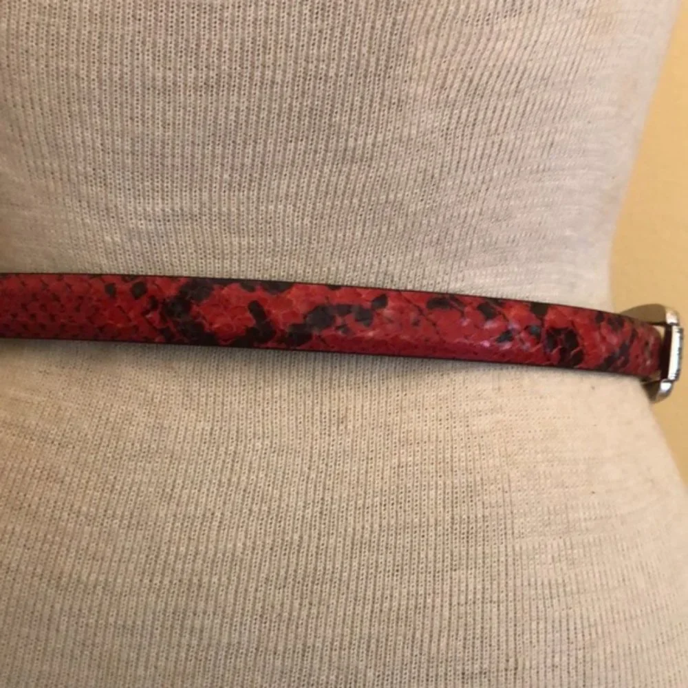 Brighton Red and Black Belt